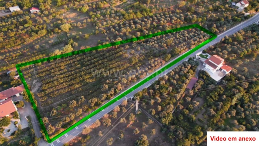 Terreno para Venda em Souto da Casa Foto 1