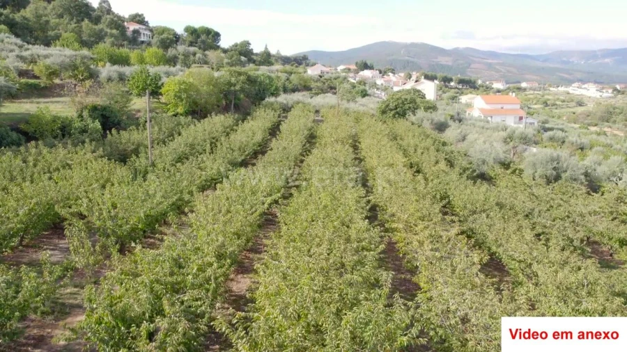 Terreno para Venda em Souto da Casa Foto 3