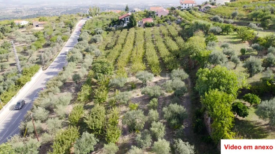 Terreno para Venda em Souto da Casa
