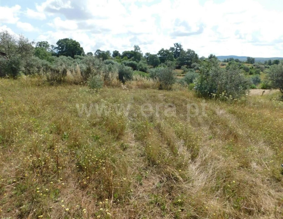 Terreno para Venda em Alpedrinha Foto 8