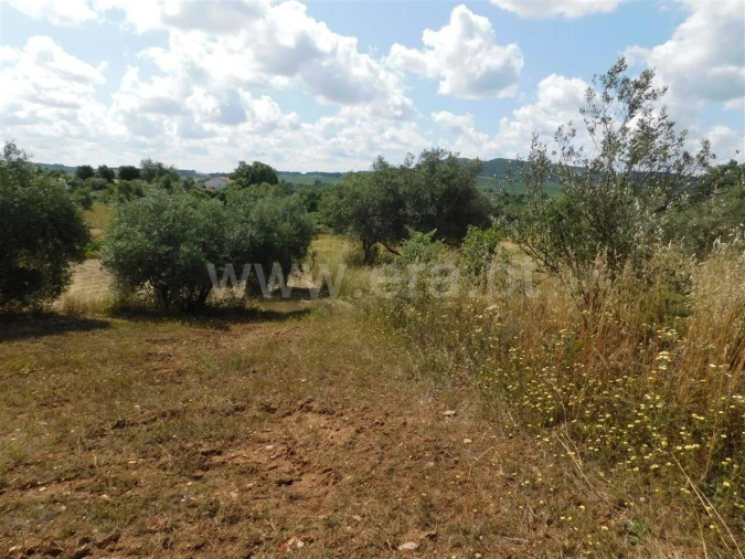 Terreno para Venda em Alpedrinha Foto 5