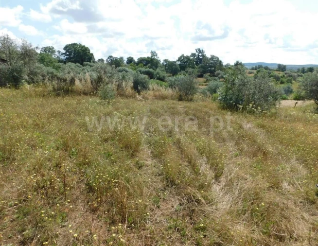 Terreno para Venda em Alpedrinha Foto 8