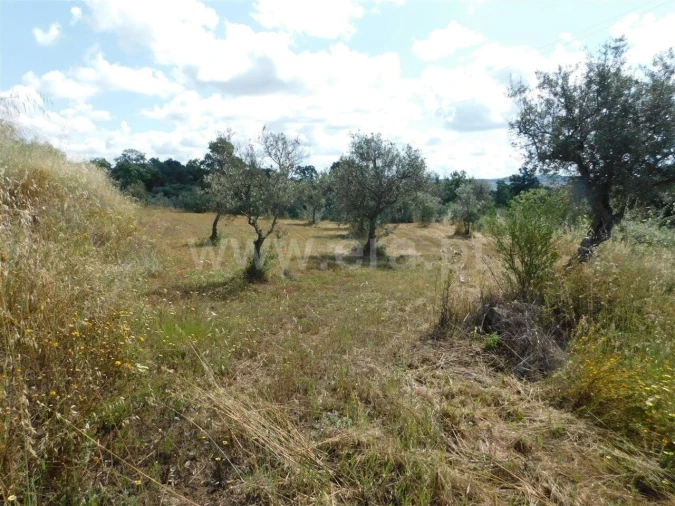 Terreno para Venda em Alpedrinha Foto 2