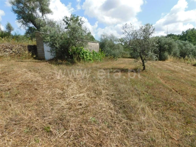 Terreno para Venda em Alpedrinha Foto 4