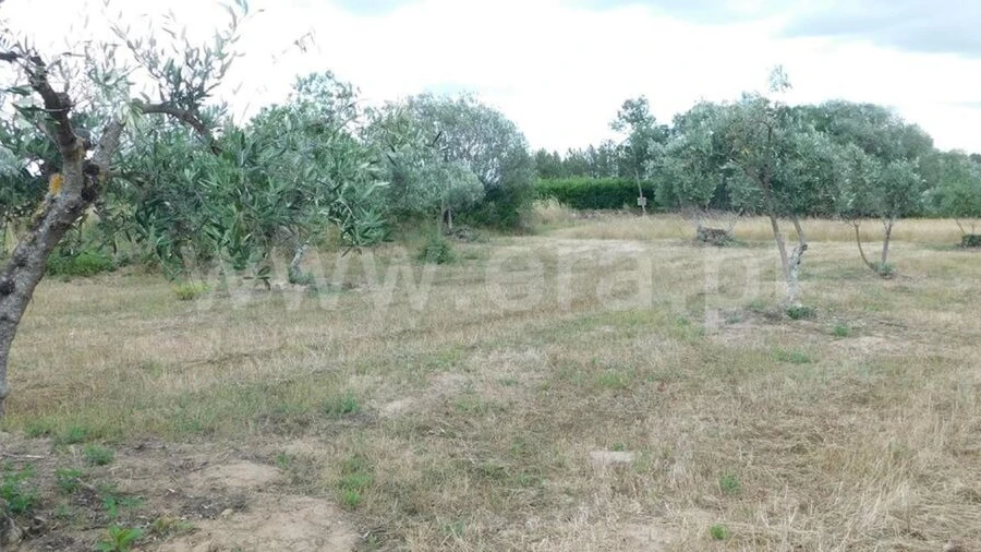 Terreno para Venda em Alpedrinha