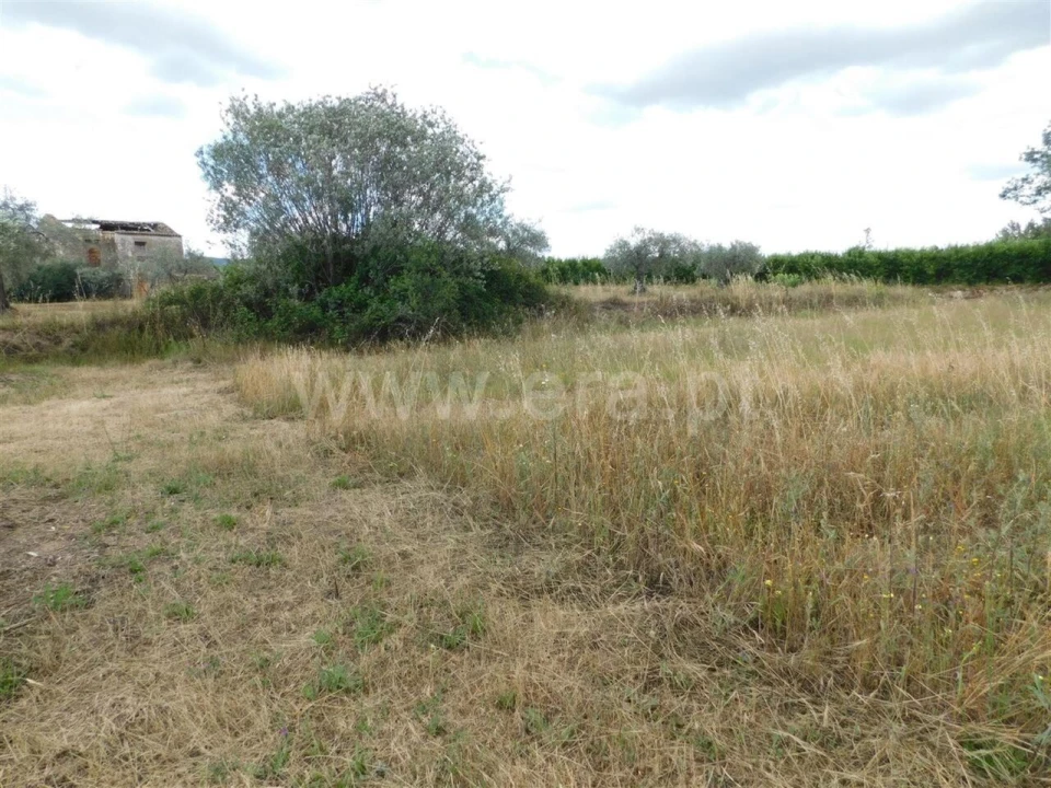 Terreno para Venda em Alpedrinha Foto 10