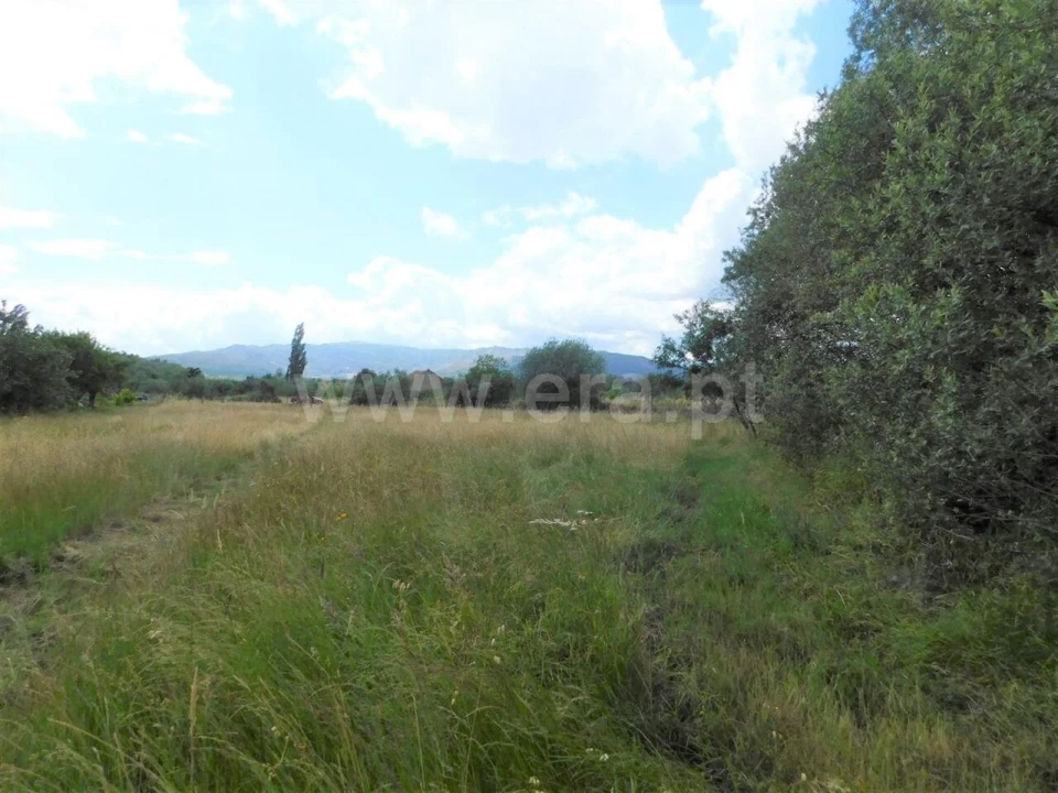 Terreno para Venda em Alpedrinha Foto 11