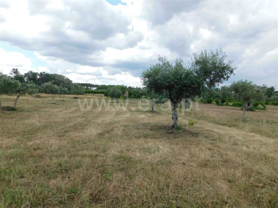 Terreno para Venda em Alpedrinha Foto 7