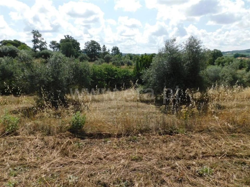 Terreno para Venda em Alpedrinha Foto 6