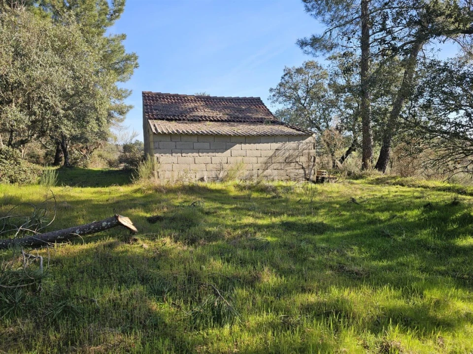 Terreno para Venda em Orca Foto 11