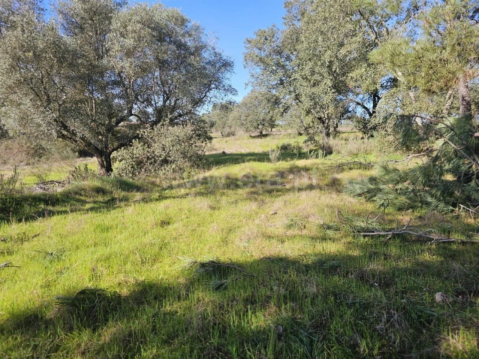 Terreno para Venda em Orca Foto 8