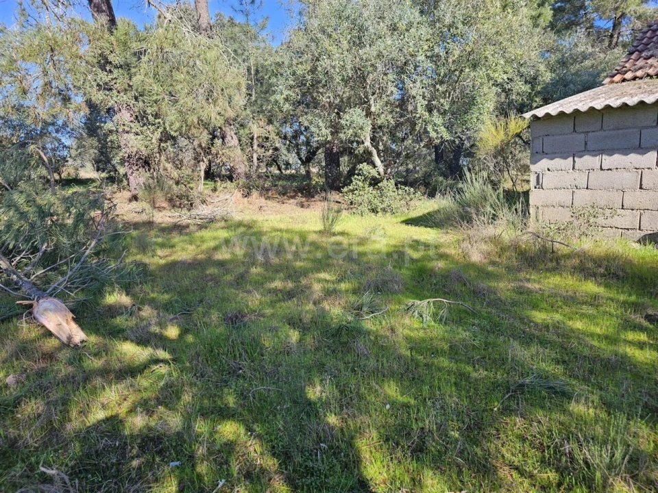 Terreno para Venda em Orca Foto 19