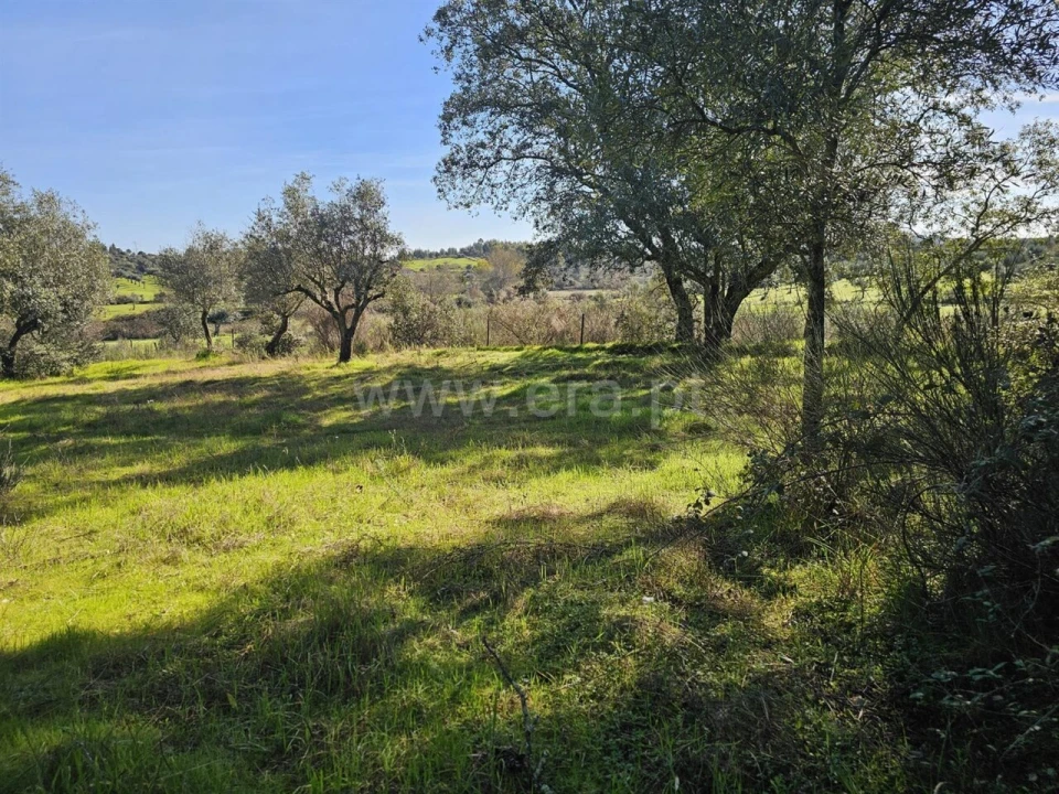 Terreno para Venda em Orca Foto 9