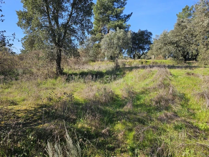 Terreno para Venda em Orca Foto 10