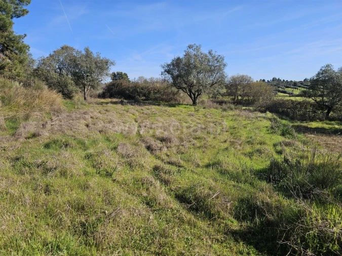 Terreno para Venda em Orca Foto 15