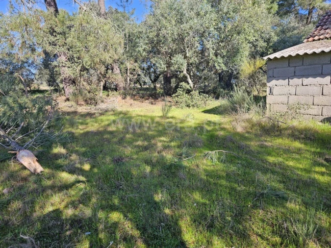 Terreno para Venda em Orca Foto 19