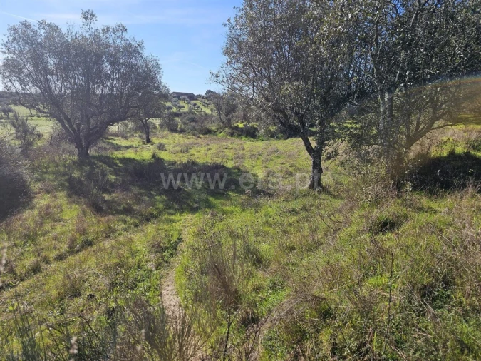Terreno para Venda em Orca Foto 5
