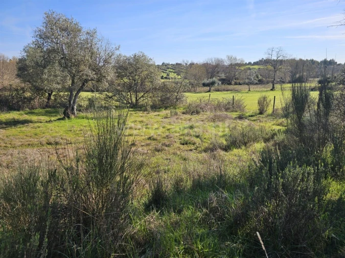 Terreno para Venda em Orca Foto 18