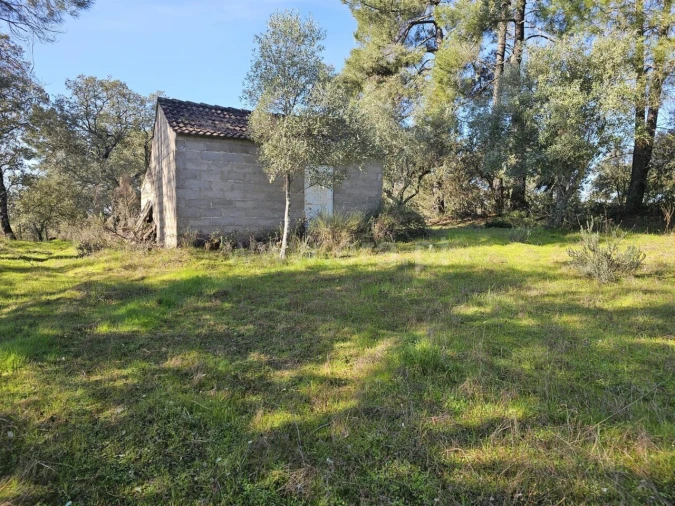 Terreno para Venda em Orca Foto 4