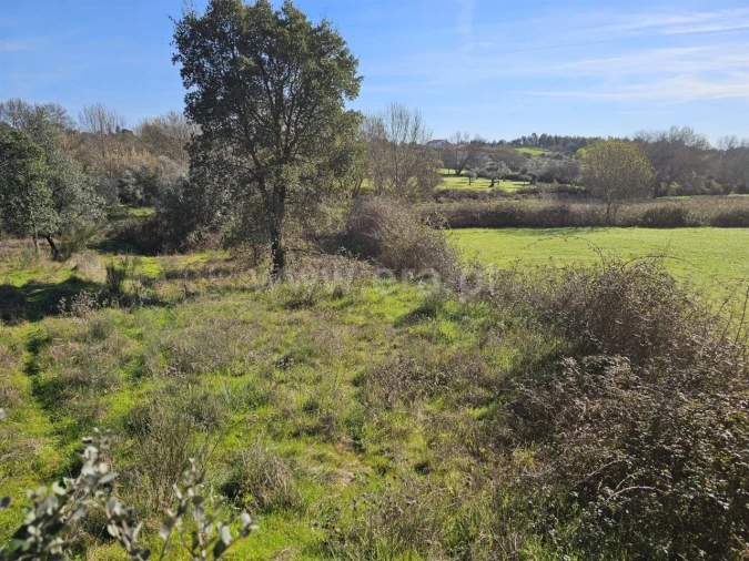 Terreno para Venda em Orca Foto 14