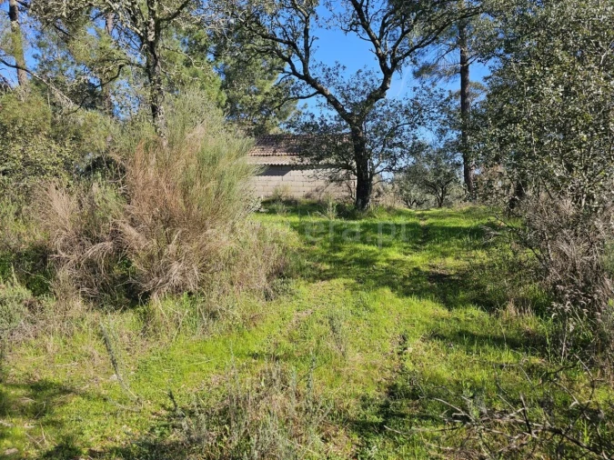 Terreno para Venda em Orca Foto 12