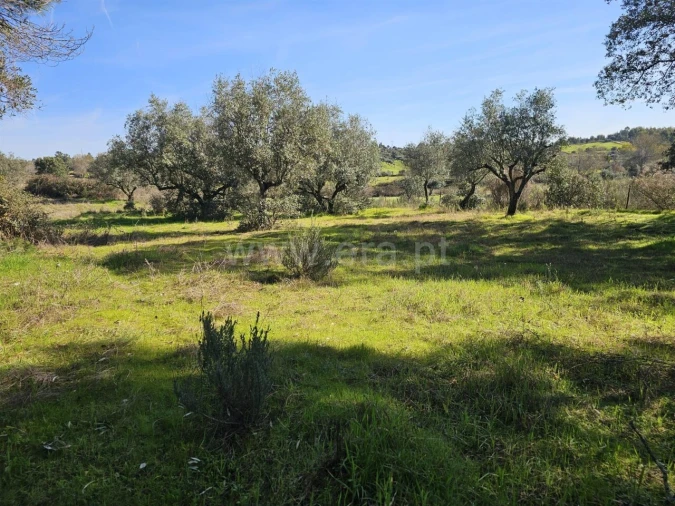Terreno para Venda em Orca Foto 6