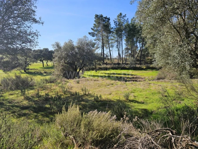Terreno para Venda em Orca Foto 20