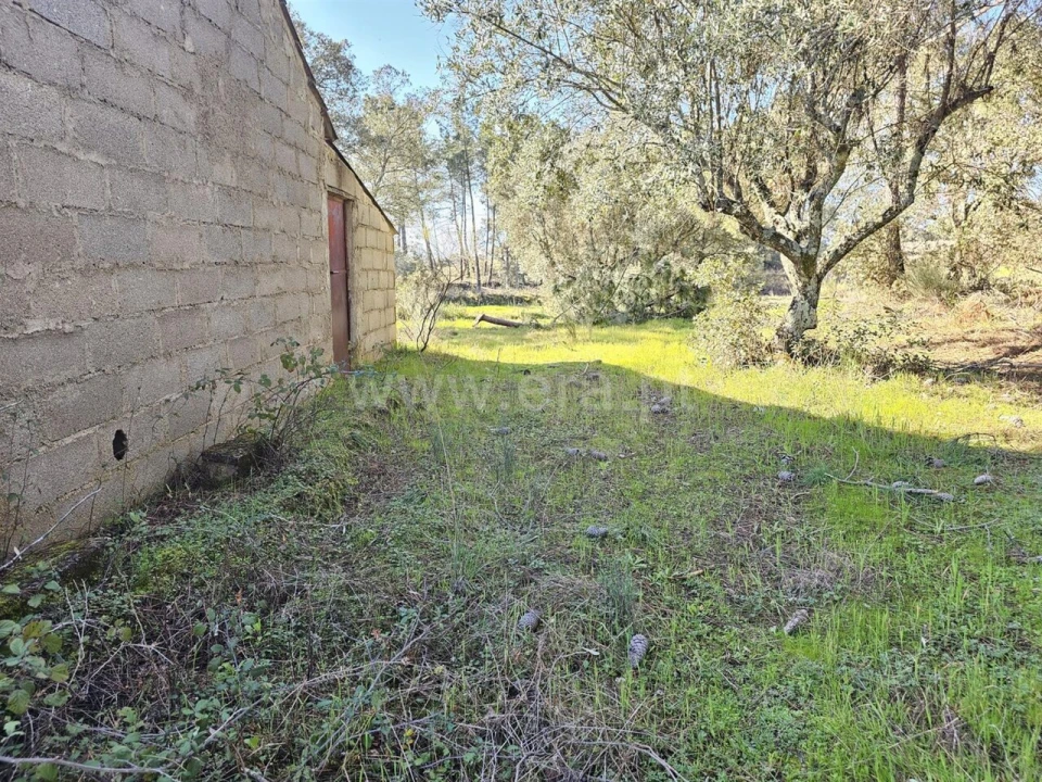 Terreno para Venda em Orca Foto 3