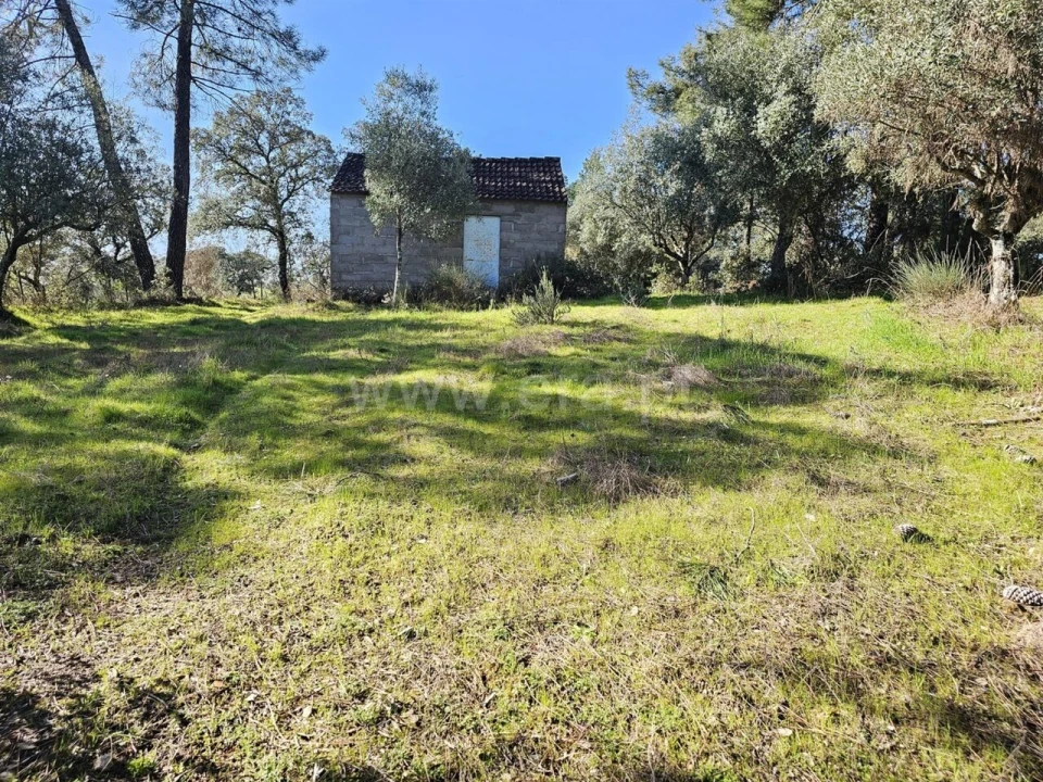 Terreno para Venda em Orca Foto 2