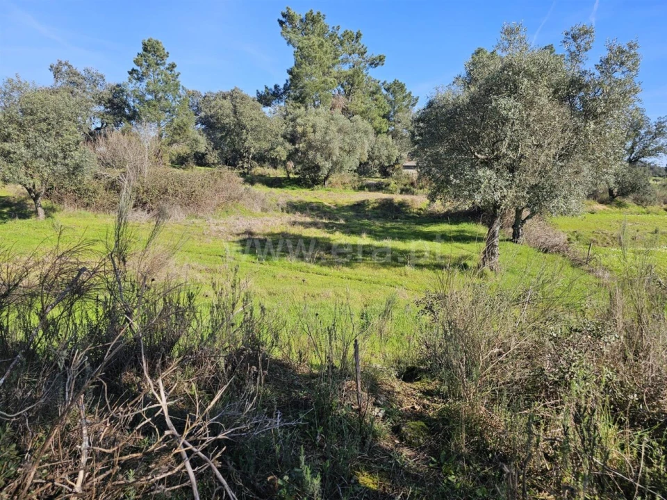 Terreno para Venda em Orca Foto 7