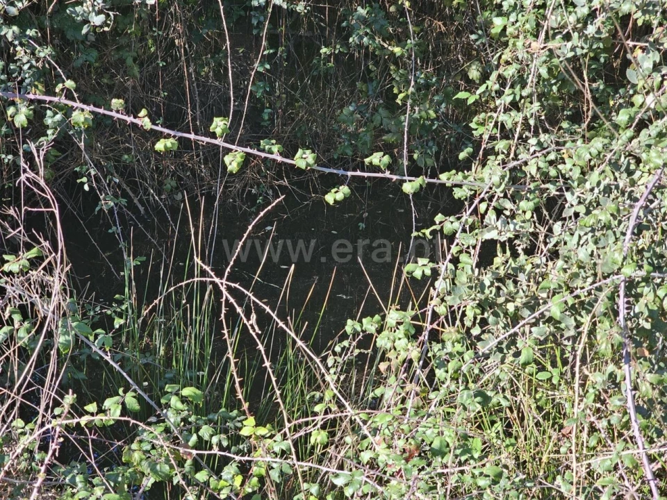 Terreno para Venda em Orca Foto 17