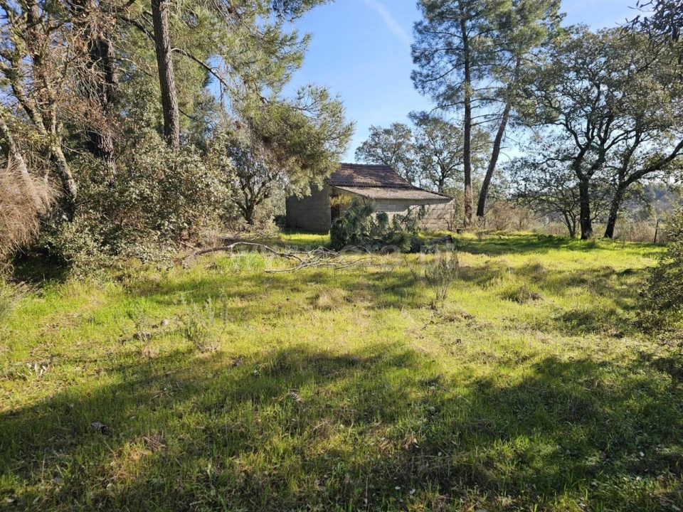 Terreno para Venda em Orca Foto 1