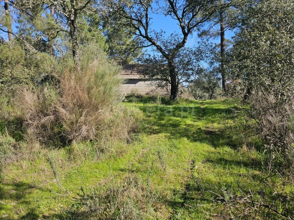 Terreno para Venda em Orca Foto 12