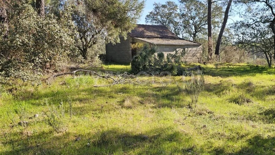 Terreno para Venda em Orca