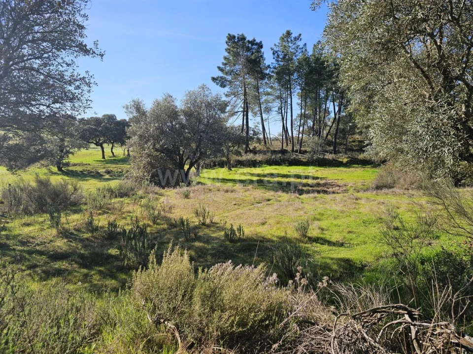 Terreno para Venda em Orca Foto 20