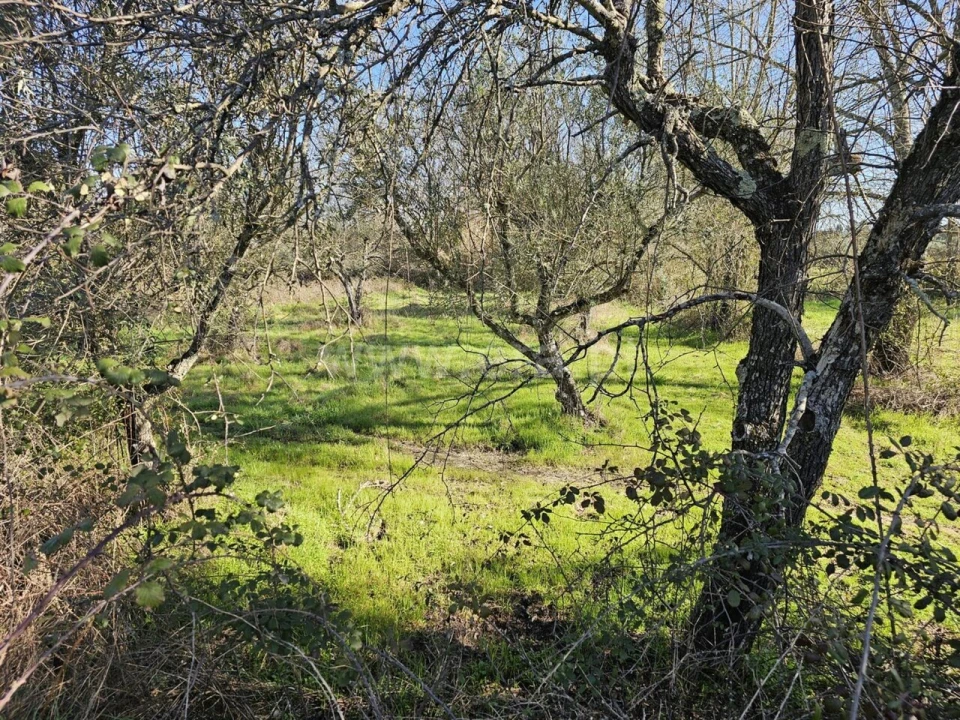 Terreno para Venda em Orca Foto 13