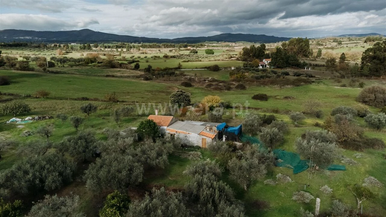 Quinta T0 para Venda em Orca Foto 8