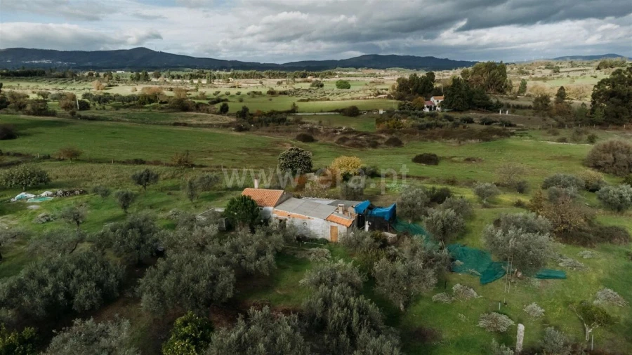 Quinta T0 para Venda em Orca Foto 8