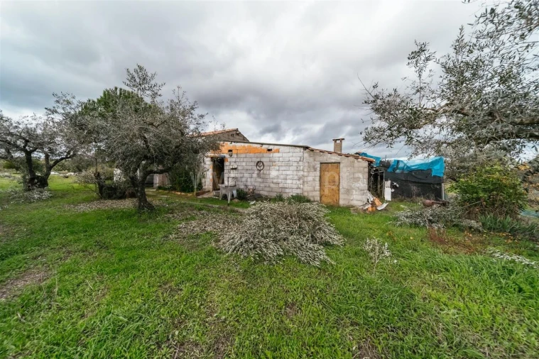 Quinta T0 para Venda em Orca Foto 13