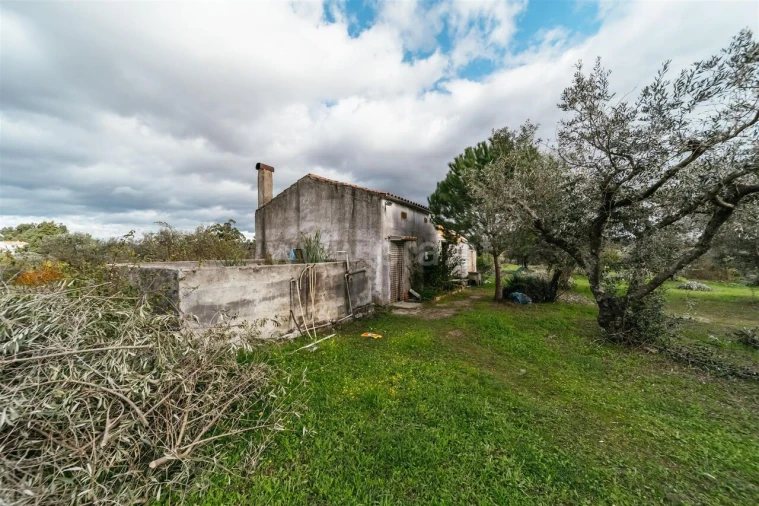 Quinta T0 para Venda em Orca Foto 12