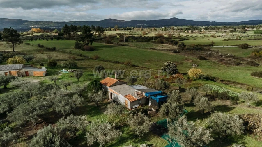 Quinta T0 para Venda em Orca Foto 7