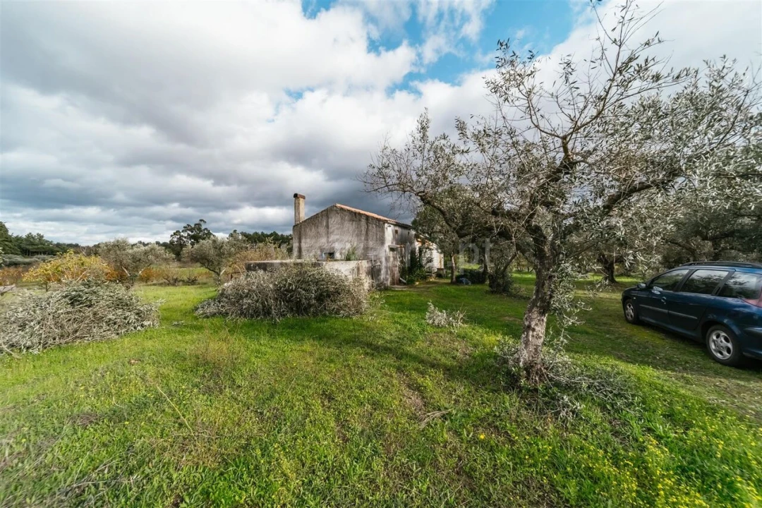 Quinta T0 para Venda em Orca Foto 11