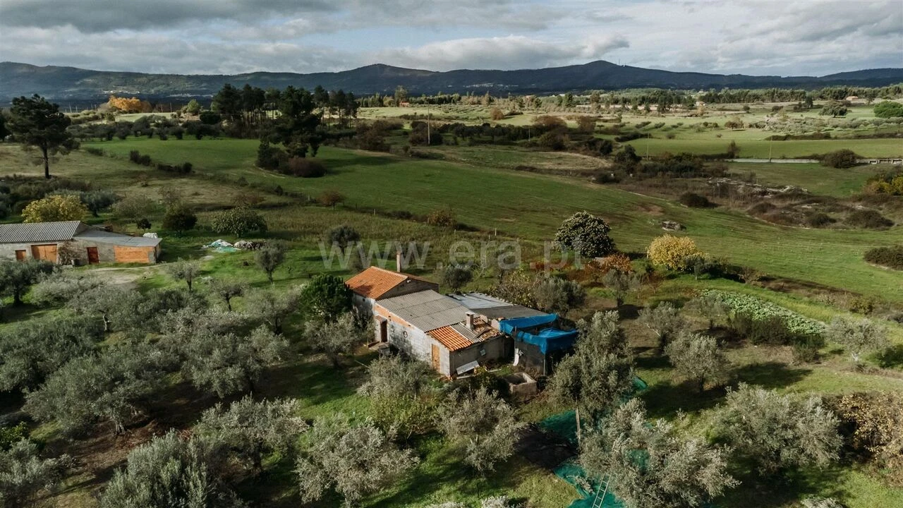 Quinta T0 para Venda em Orca Foto 7