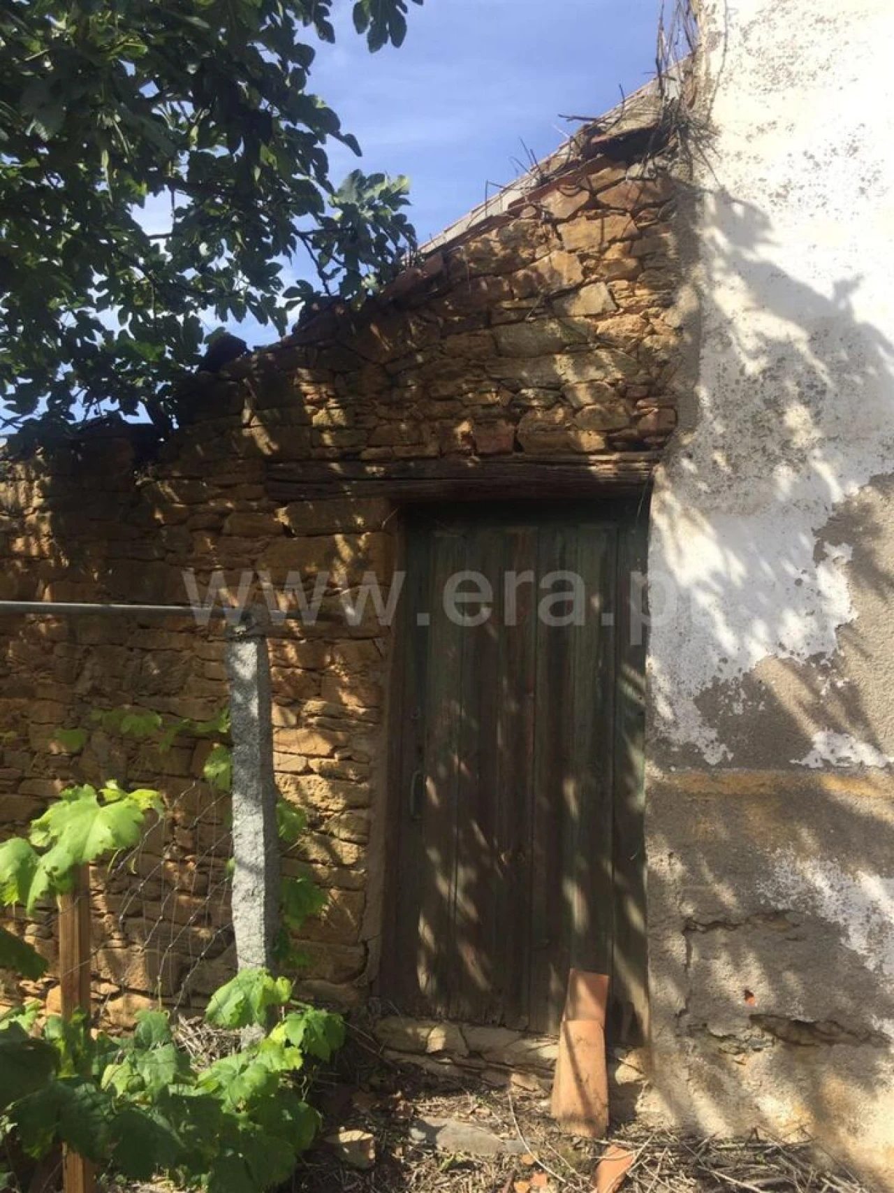 Terreno para Venda em Souto da Casa Foto 2