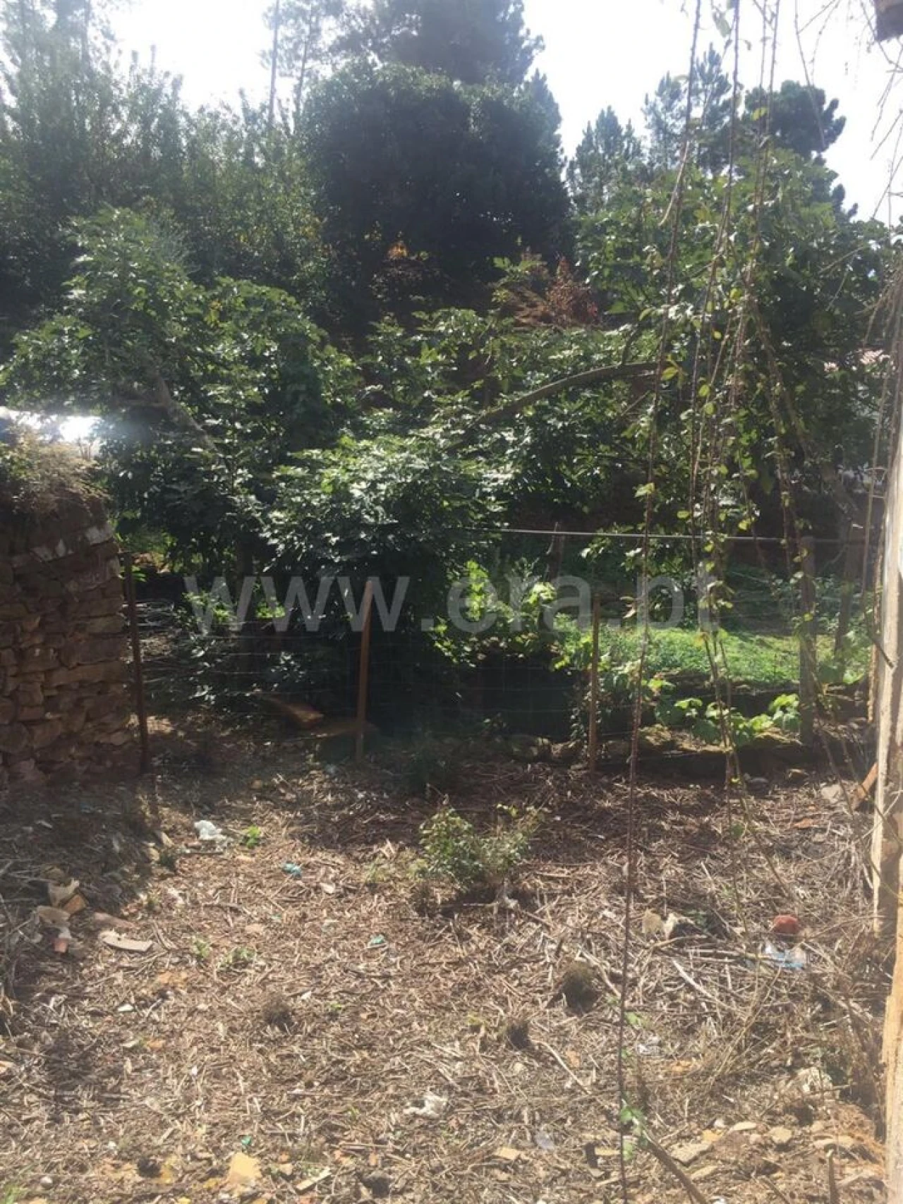 Terreno para Venda em Souto da Casa Foto 3