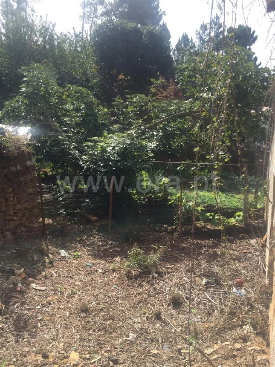 Terreno para Venda em Souto da Casa Foto 3
