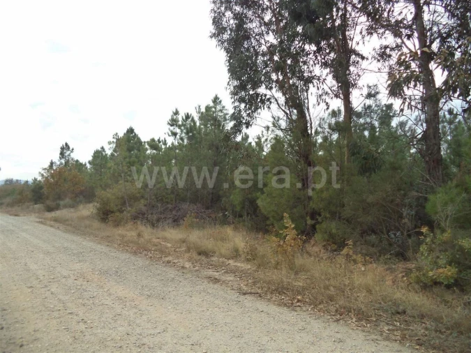 Terreno para Venda em Capinha Foto 2