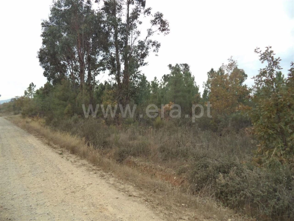 Terreno para Venda em Capinha Foto 3