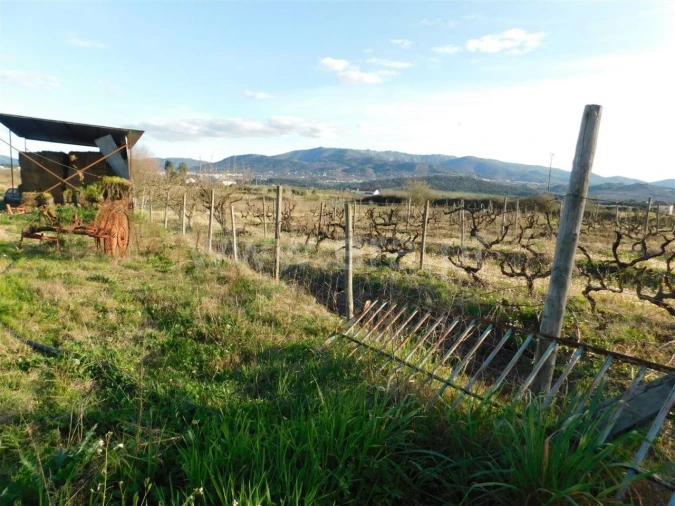 Terreno para Venda em Telhado Foto 4