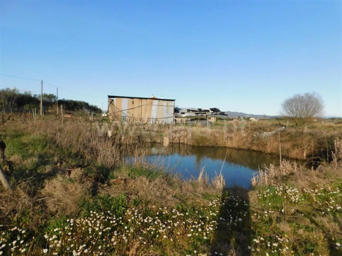 Terreno para Venda em Telhado
